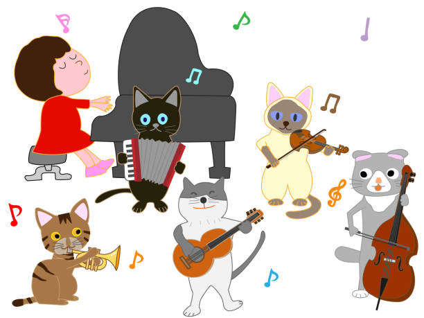 Kedilerin Müzikle İlişkisi