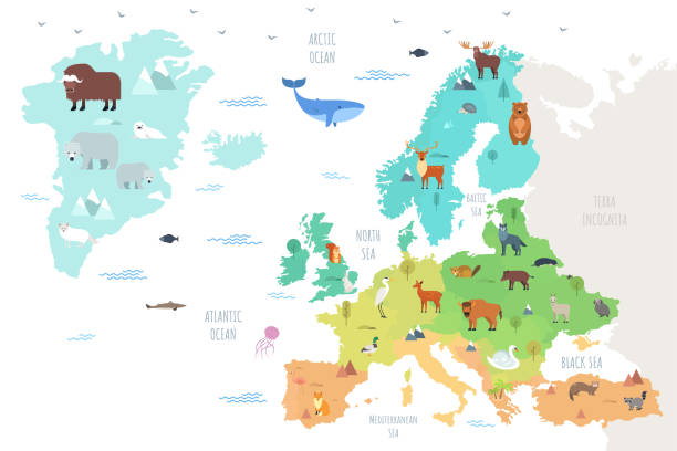 Avrupa Kıtasındaki Hayvanlar