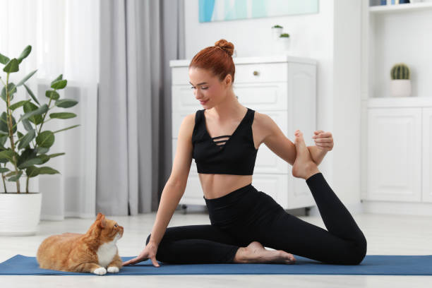 Kedinizi Mutlu Edecek Egzersiz Önerileri