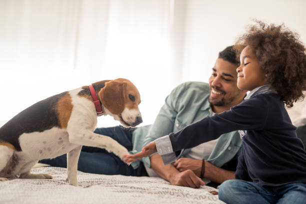 Köpekler ve Çocuklar: Güvenli Bir İlişki Nasıl Kurulur?