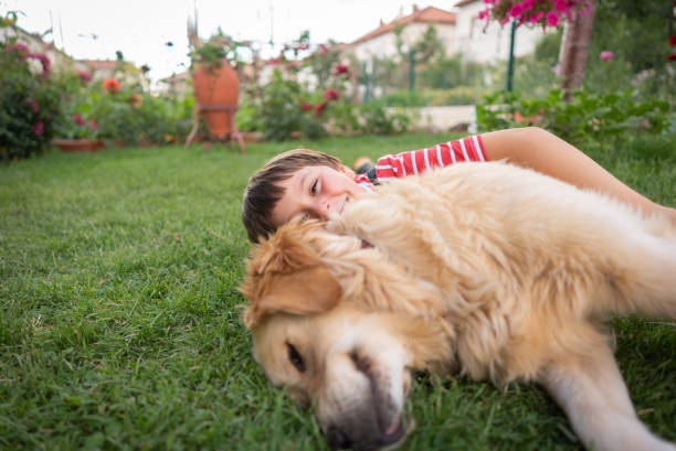 Köpekler ve Çocuklar: Güvenli Bir İlişki Nasıl Kurulur ? 7 İpucu